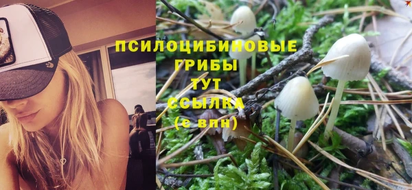 спиды Алексин