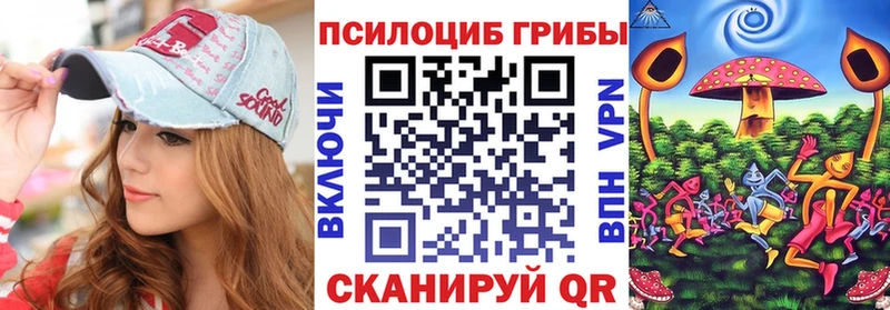 наркошоп  Сухой Лог  Псилоцибиновые грибы прущие грибы 